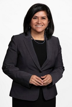 Lourdes Castro Ramirez