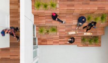 Located in Venice, California, Rose Apartments features a courtyard that provides a protected open social space and allows light and air into each unit.